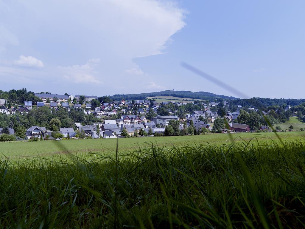 Hotel Sonne Seiffen Bagian luar foto