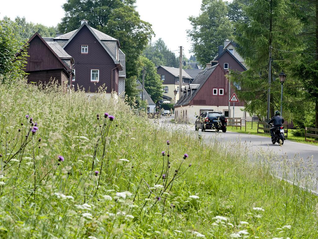 Hotel Sonne Seiffen Bagian luar foto