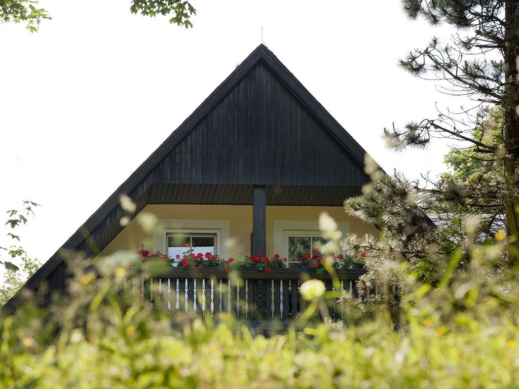 Hotel Sonne Seiffen Bagian luar foto