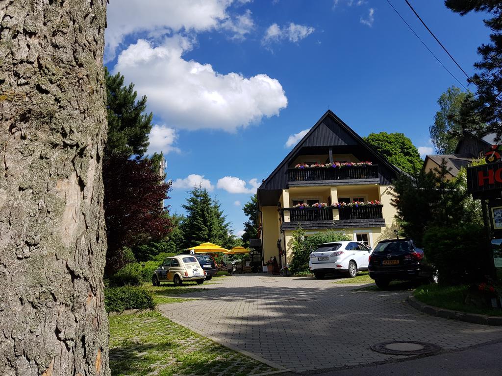 Hotel Sonne Seiffen Bagian luar foto