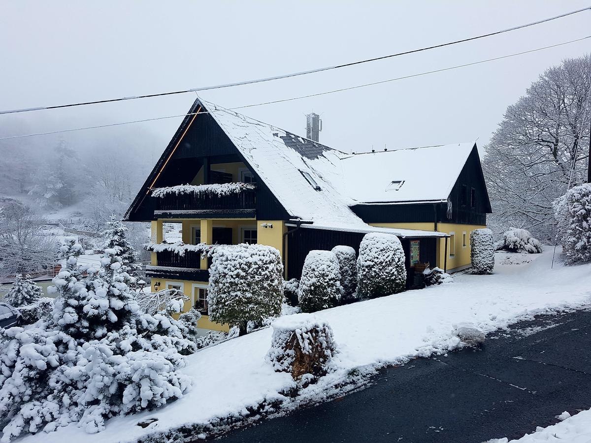 Hotel Sonne Seiffen Bagian luar foto